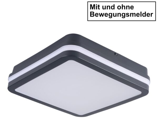 LED Decken- Wandleuchte Beno IP54 18Watt & 24Watt